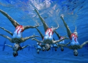 开云棋牌官网-爵士战术压制公牛，戈贝尔带队取胜