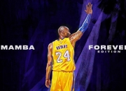 开云棋牌官方-跨界传奇，德里赫特NBA总决赛接管比赛，尼日利亚足球争冠战击败拜仁