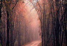 开云棋牌游戏-Vitality爆冷TL，Huni关键制胜：英雄联盟最令人震撼的逆转时刻