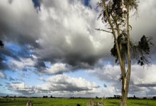 开云棋牌游戏-Vitality爆冷TL，Huni关键制胜：英雄联盟最令人震撼的逆转时刻