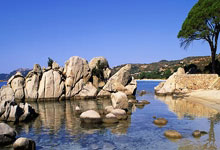 开云棋牌APP-冰与火之歌！凯尔特人用三倍跑动撕碎勇士神话