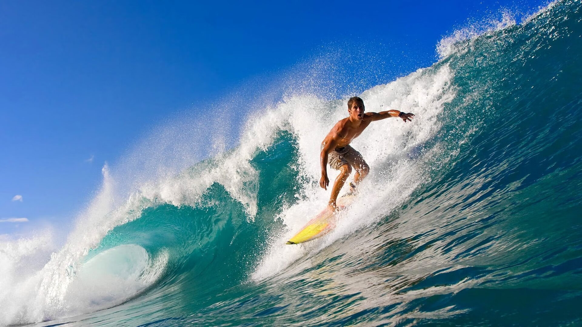 武切维奇绝杀夜，当山西汾酒浇熄芝加哥火焰